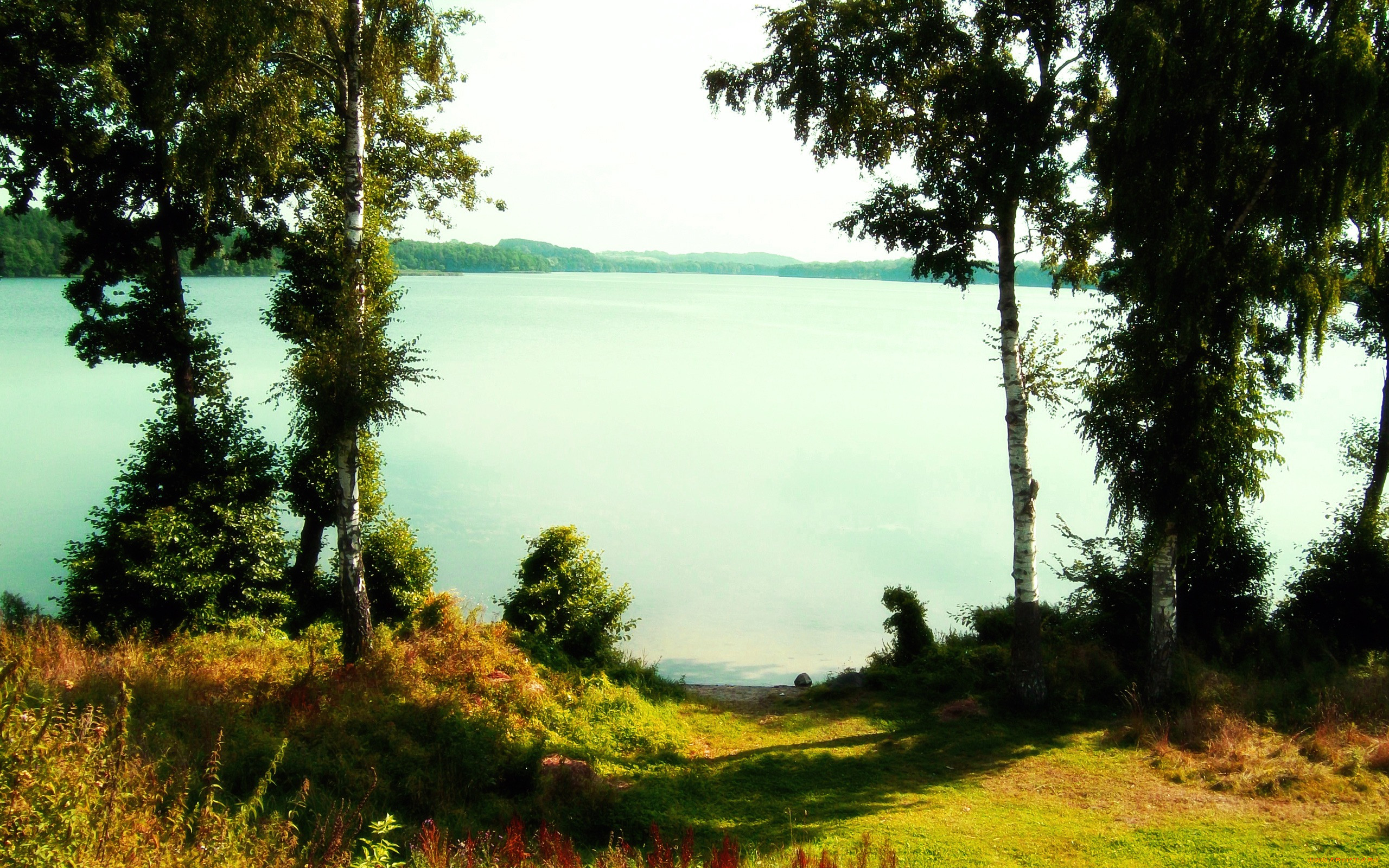 Мы вышли к озеру. Полянское озеро Ленинградская область. Озеро Полянское Бор. Тропинка к озеру. Поляна на берегу озера.